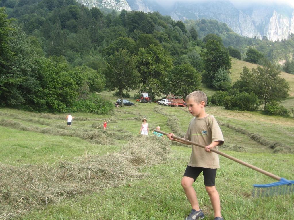 Příroda nedaleko farmy