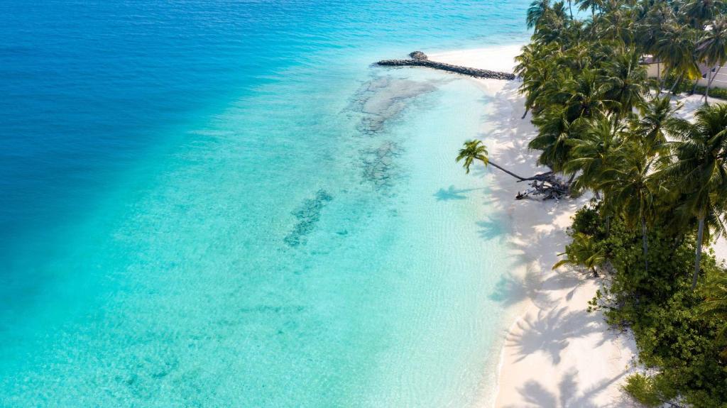 Fiyavalhu Resort Maldives - View 36