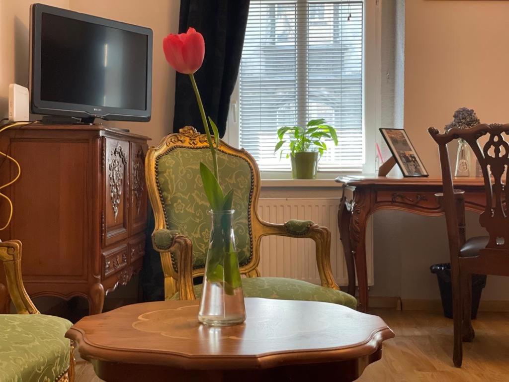 una sala de estar con un jarrón con una flor roja en un jarrón en APARTMENT SILESIAN STADIUM and PARK en Chorzów