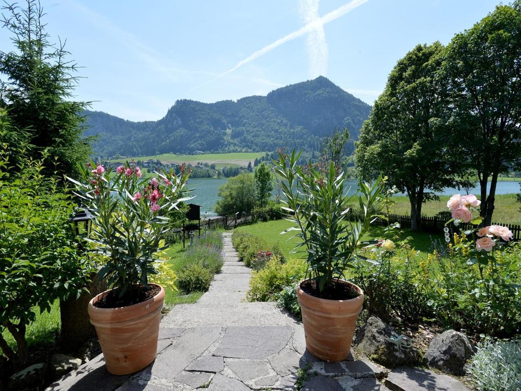 two potted plants on a stone walkway in a garden at Rosenhof am See Ferienwohnung Alpenrose in Thiersee