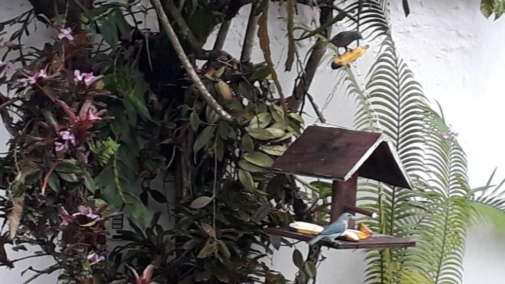  Suites Beija-Flor