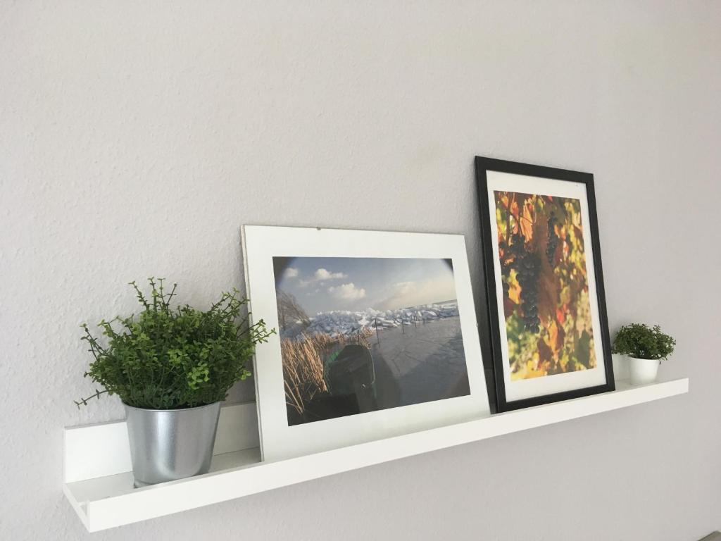 Fotografia z galérie ubytovania Balatonlelle Apartmanház v destinácii Balatonlelle