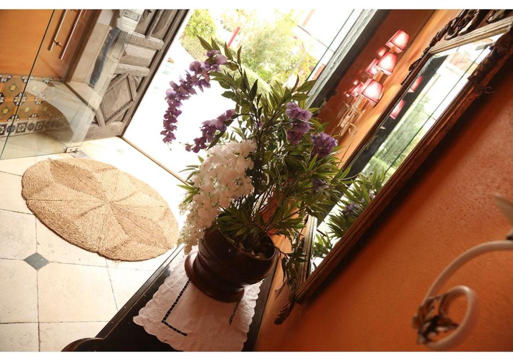 une plante en pot assise dans une fenêtre dans une pièce dans l'établissement La Casona de Calderón Gastronomic & Boutique Hotel, à Osuna