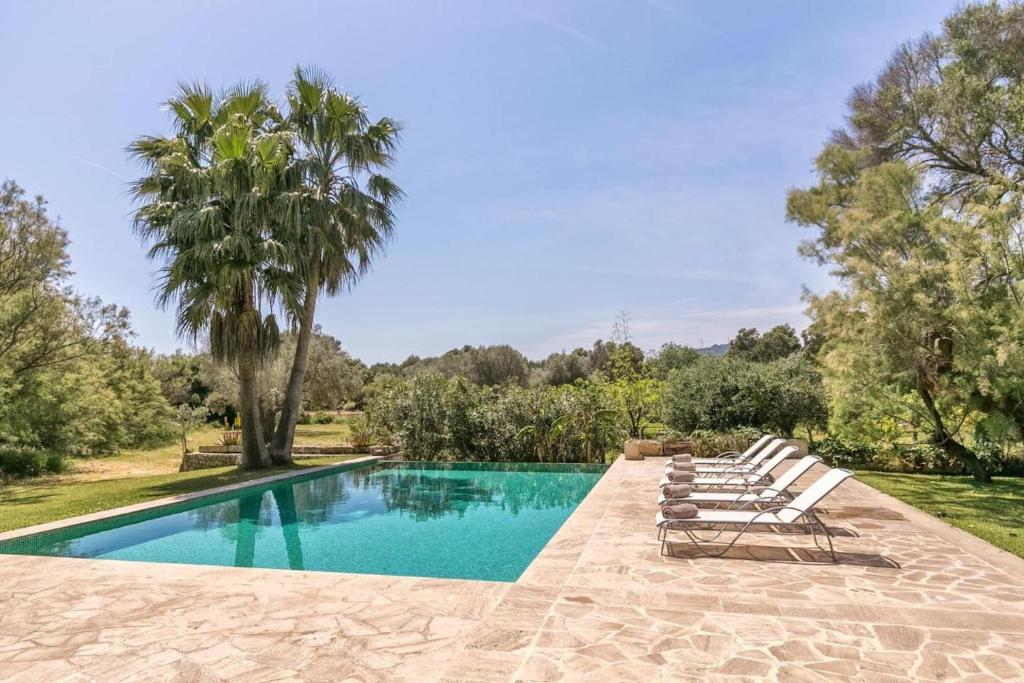 a swimming pool with lounge chairs and a palm tree at Son Jordi in Son Servera