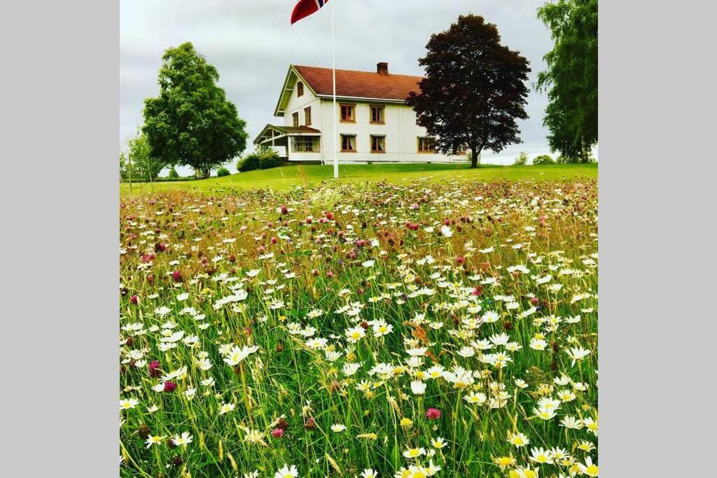 Idyllisk gård med stor plass - Housity