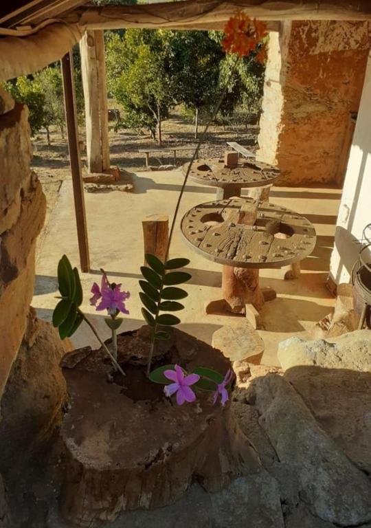  Pousada Fazenda das Bicas