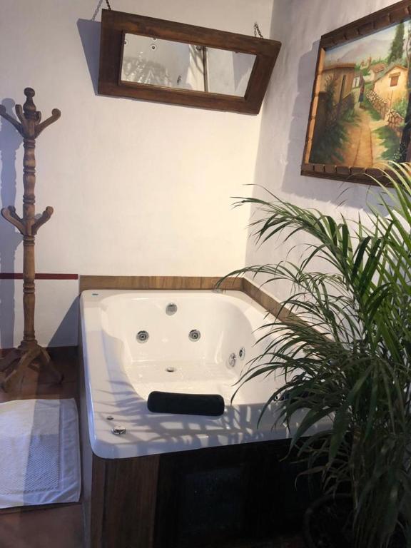 Fotografie z fotogalerie ubytování Meson Luna Sacra v destinaci Tapalpa