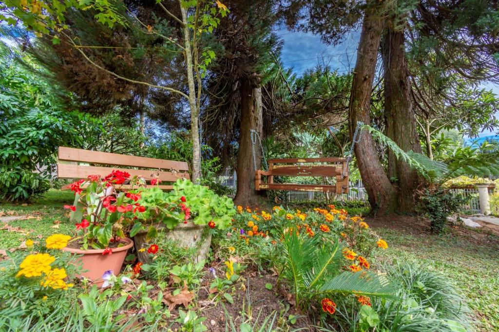 Rosa Casa Tirol Gramado  Rosa Casa Tirol Gramado