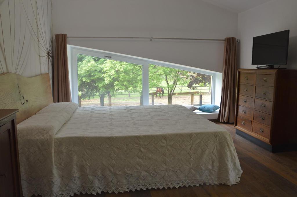 Agriturismo Castolda