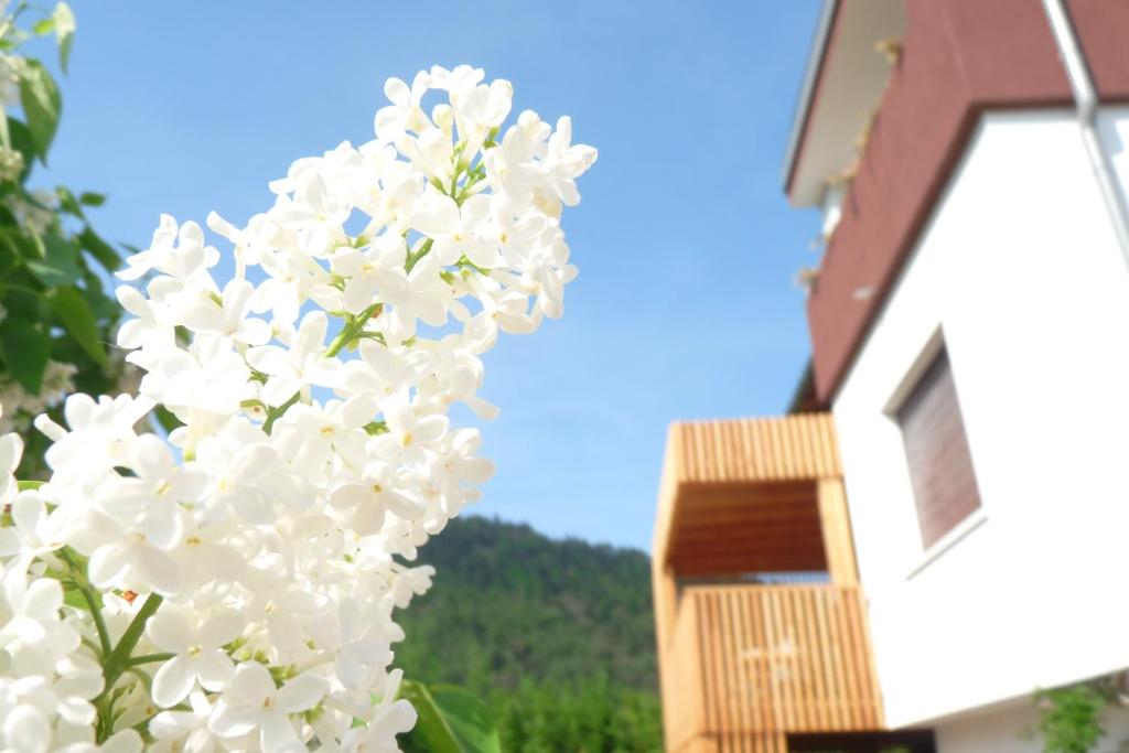 Un mazzo di fiori bianchi davanti a una casa di B&B Casa sul Lago - Appartamenti a Calceranica al Lago