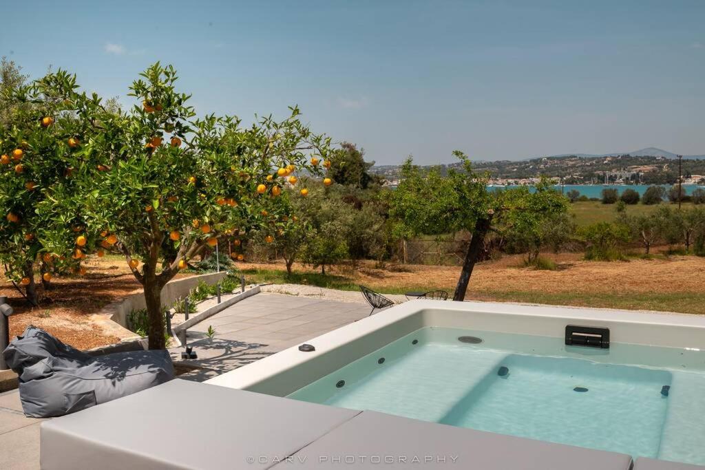 Bazén v ubytovaní Orange Tree alebo v jeho blízkosti
