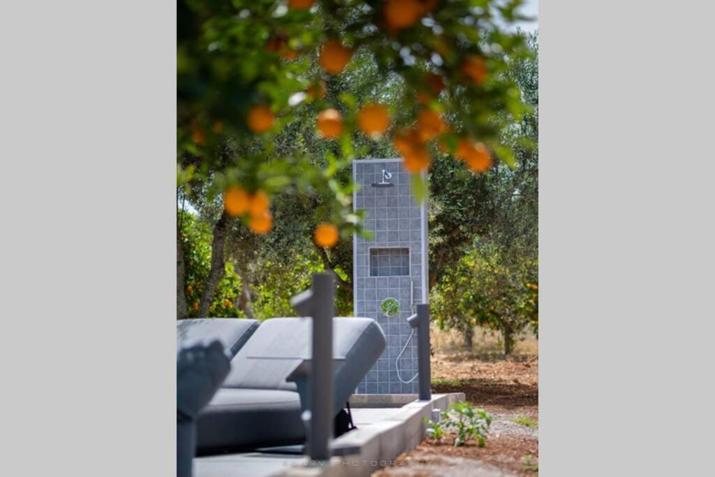 Posedenie v ubytovaní Orange Tree