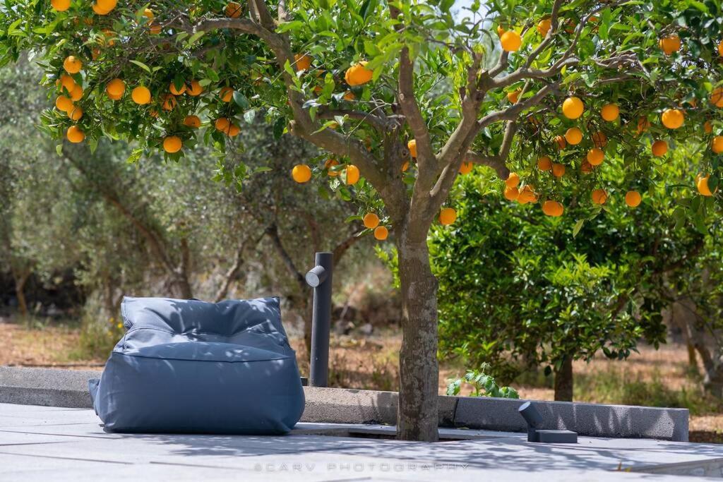 Vonkajšia záhrada v ubytovaní Orange Tree