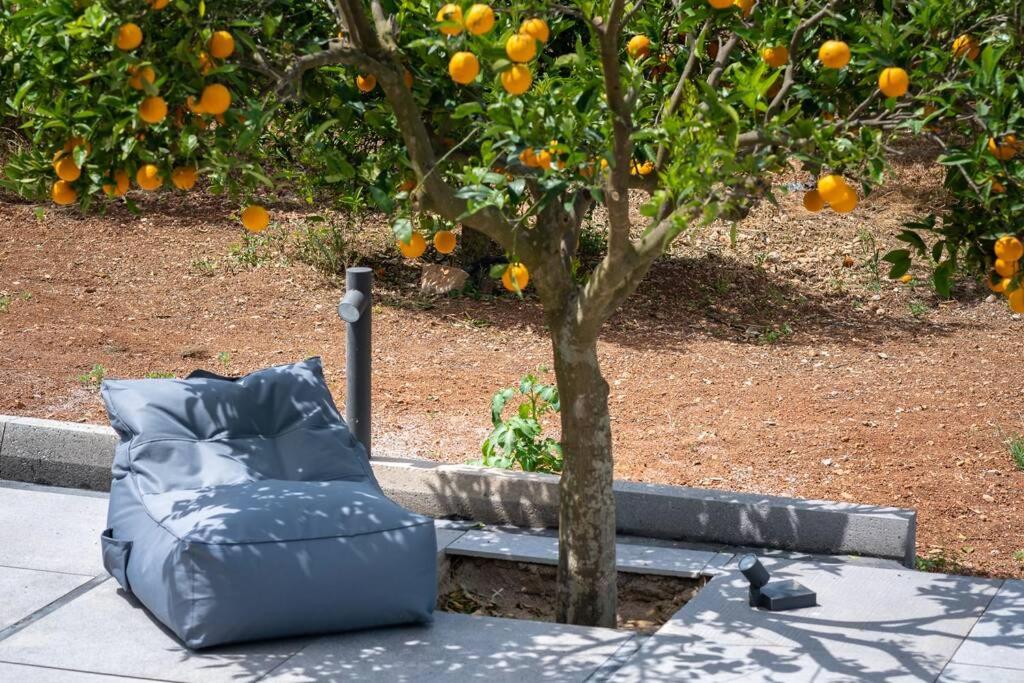 Vonkajšia záhrada v ubytovaní Orange Tree