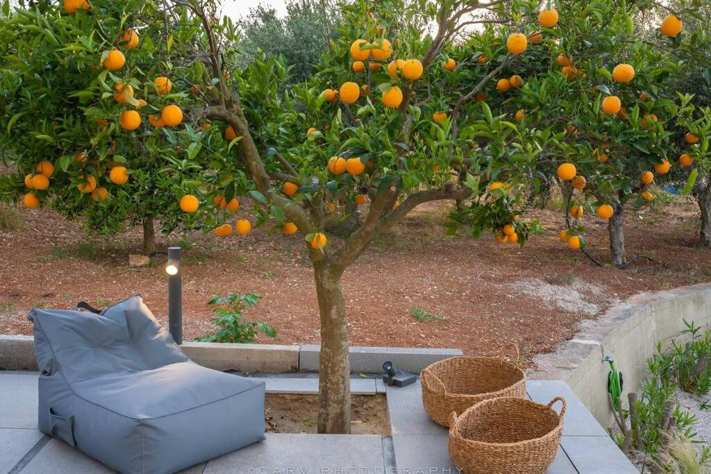 Vonkajšia záhrada v ubytovaní Orange Tree