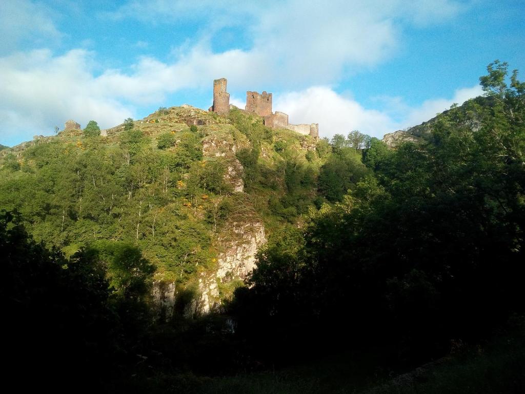 a castle on top of a hill with trees at Gite au pied du mont Lozère 2 in Mas-dʼOrcières