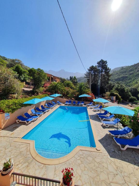 een groot zwembad met blauwe stoelen en parasols bij Résidence Cabanaccia in Serriera
