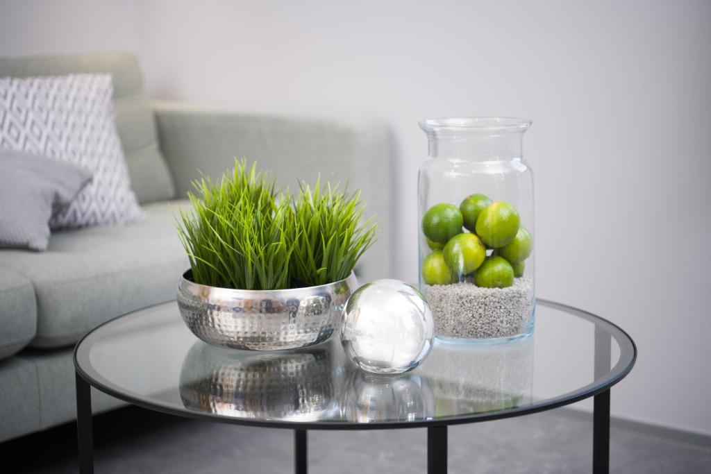 Vila Emona - Central Apartments - Free Parking - Resim 43