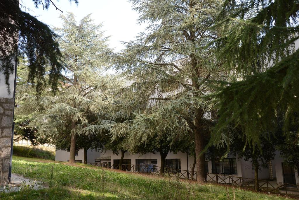 un edificio con árboles delante de él en B&B Europa, en Potenza