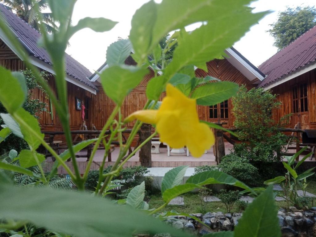 Zahrada ubytování NonKan HomeStay นอนกาญจน์ โฮมสเตย์
