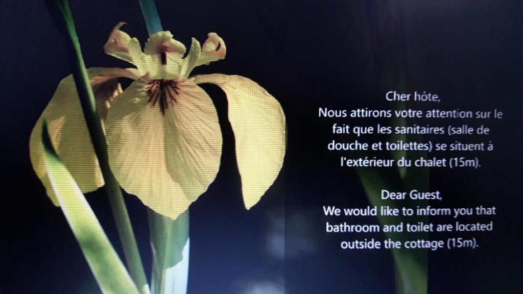 Una flor blanca en un jarrón con un poema en Les Iris - Domaine du Lac de la Vallée, en La Roquette-sur-Siagne