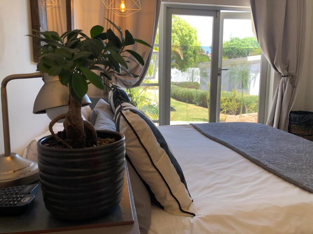
a bed with a plant in it next to a window at Villa Palmera in Mossel Bay
