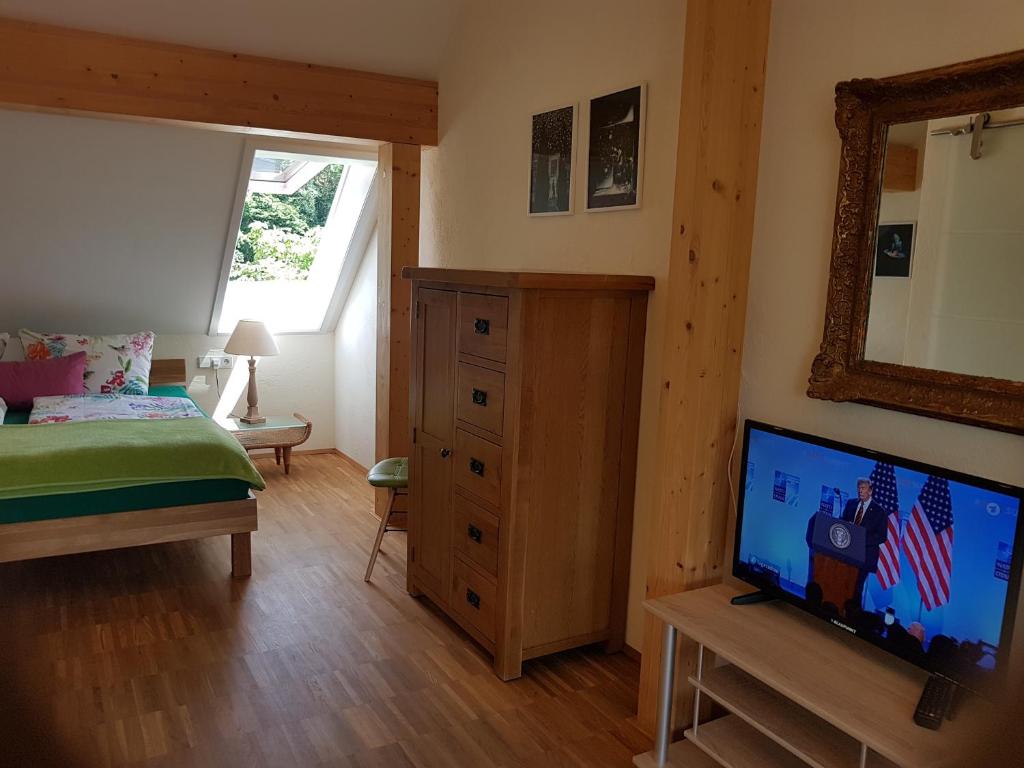 TV a/nebo společenská místnost v ubytování Landgut Apfelrose