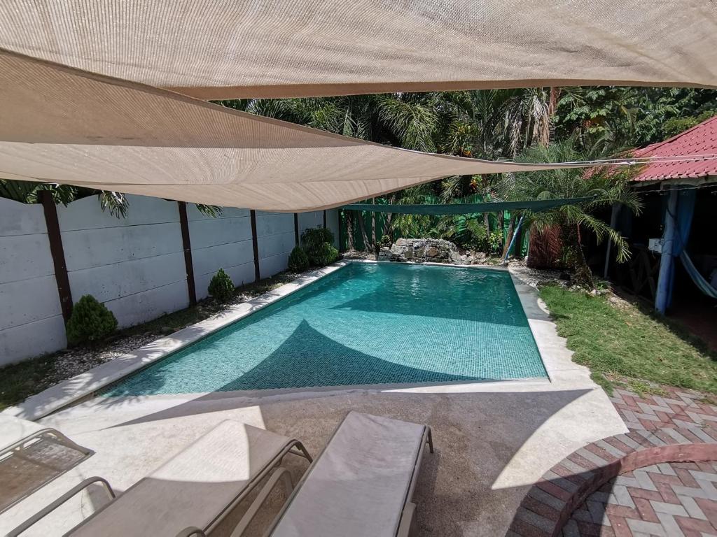 an overhead view of a swimming pool under an umbrella at Hostel Antorchas in Dominical