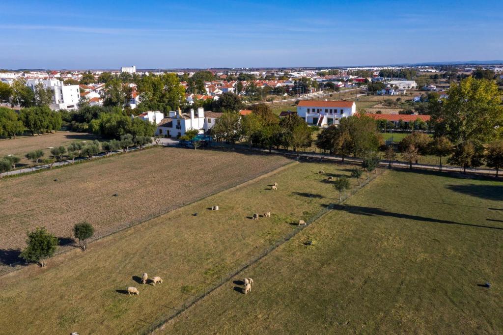 QSF Agro Turismo Quinta da Sagrada Família - 18