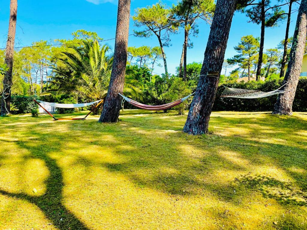 a hammock between two palm trees in a park at Villa Dune & Océan in Labenne
