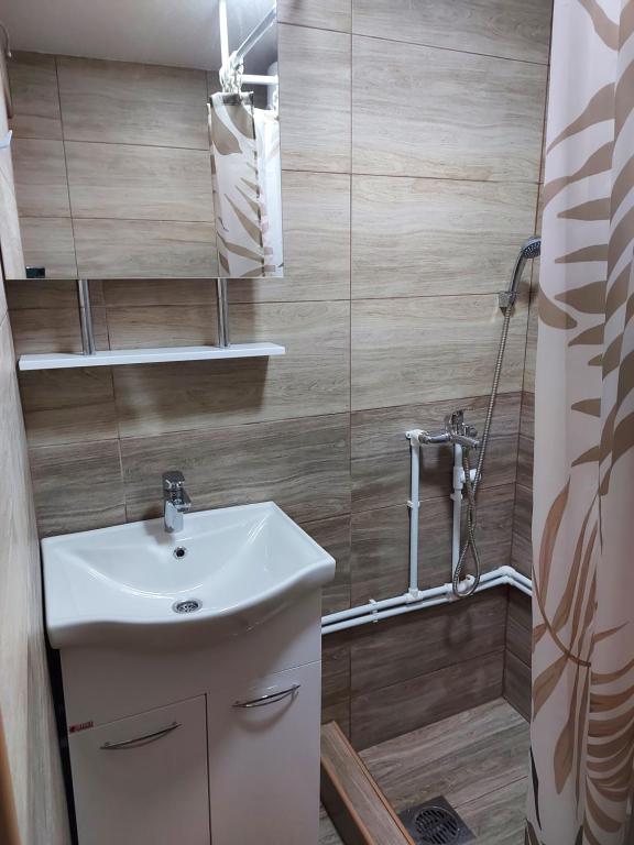 a bathroom with a sink and a shower at Etno domacinstvo Uvacki konaci in Nova Varoš