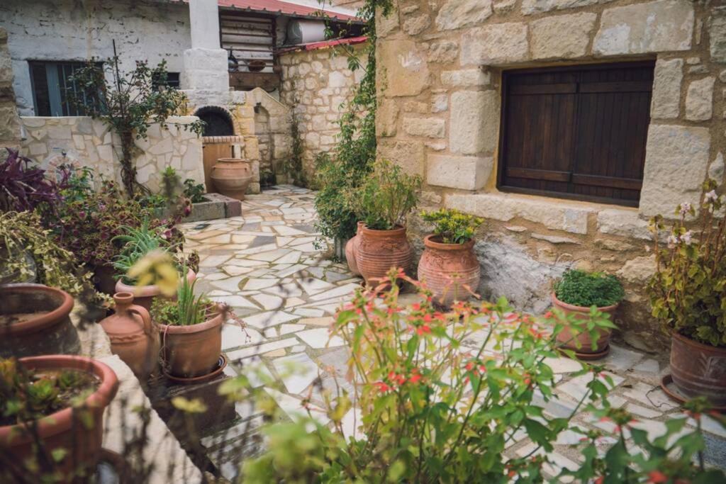 A garden outside The Royal Stonehouse : Sophia