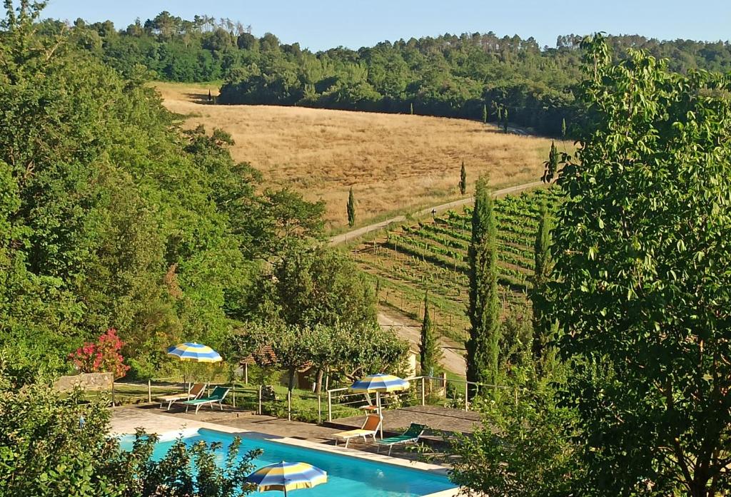 a swimming pool with umbrellas and chairs and a vineyard at Agriturismo San Bernardino Del Lago in Rapolano Terme