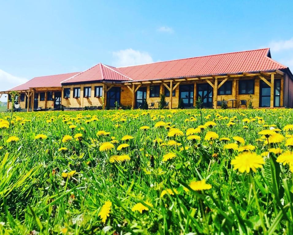 un campo de flores amarillas frente a un edificio en Aranyló Vendégház, en Alsótelekes