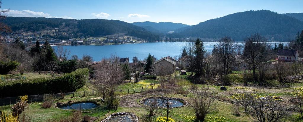 uma vista para um lago com montanhas ao fundo em Moho Mountain Home em Gérardmer