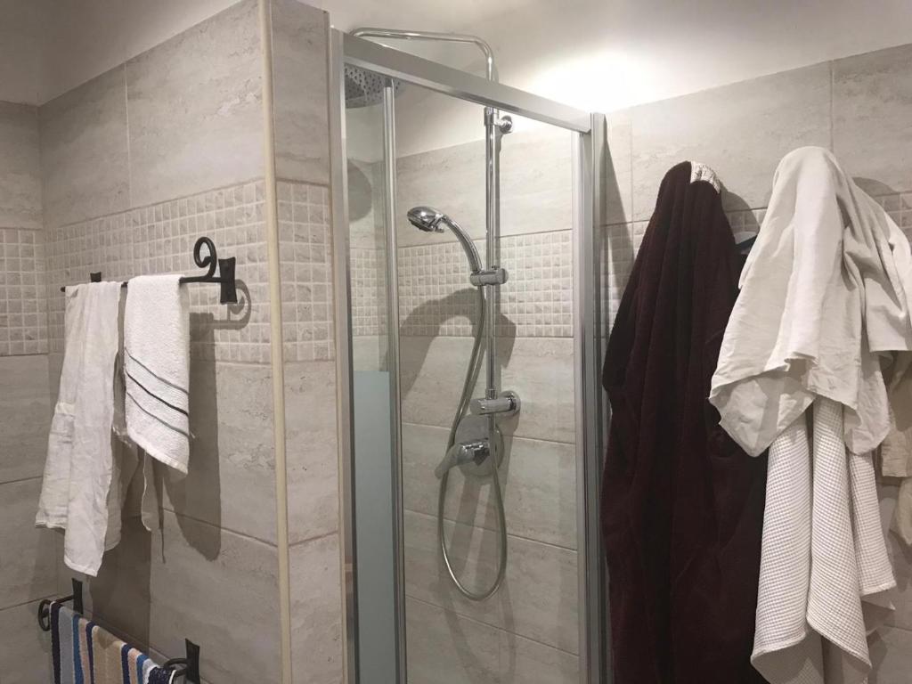 a shower stall in a bathroom with white towels at ViviMontagna Mathilda in Perosa Argentina