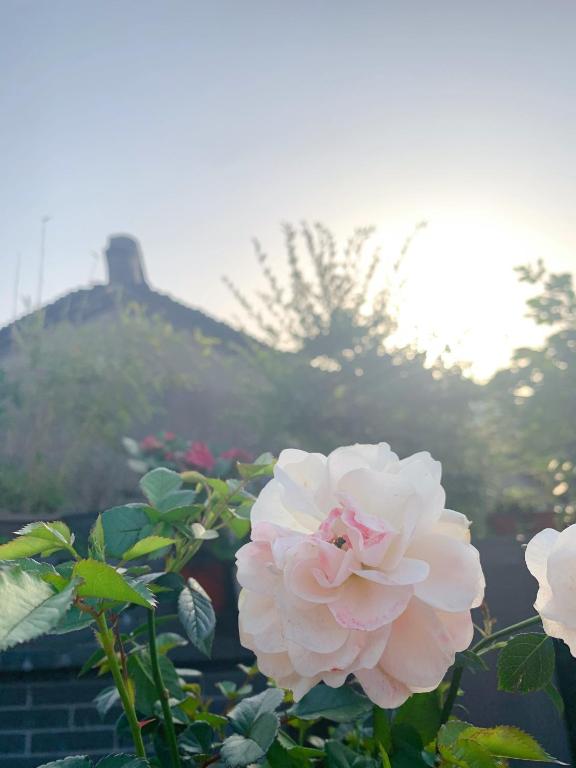 Zahrada ubytování Suzhou Jade Snow Lodge