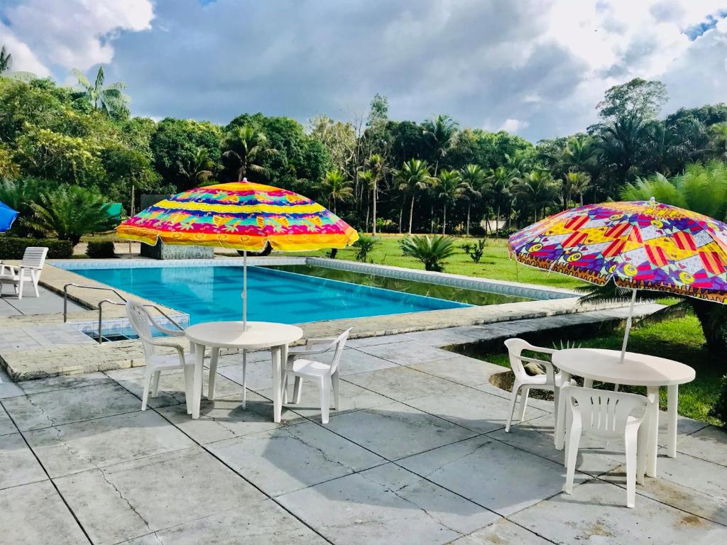 A piscina localizada em Jungle Spa e Hotel ou nos arredores