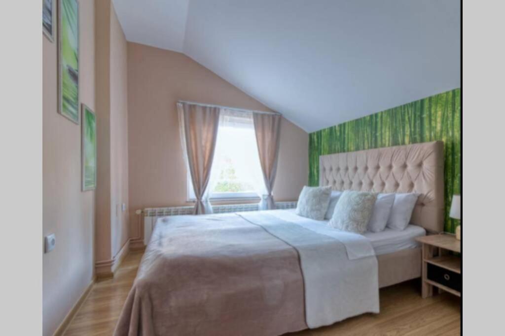 Lova arba lovos apgyvendinimo &#x12F;staigoje Villa Smestaj Dunav