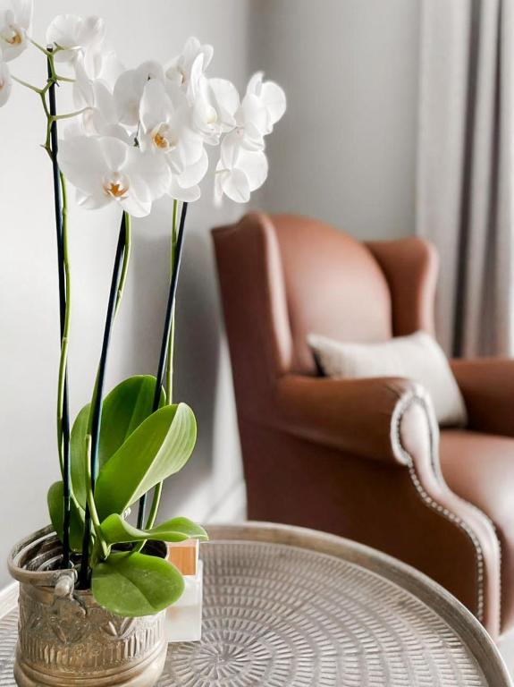 a vase filled with white flowers sitting on a table at Battiss Guest House in Pretoria
