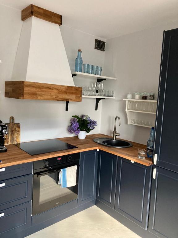 Kuchyňa alebo kuchynka v ubytovaní Apartament Komorowskiego
