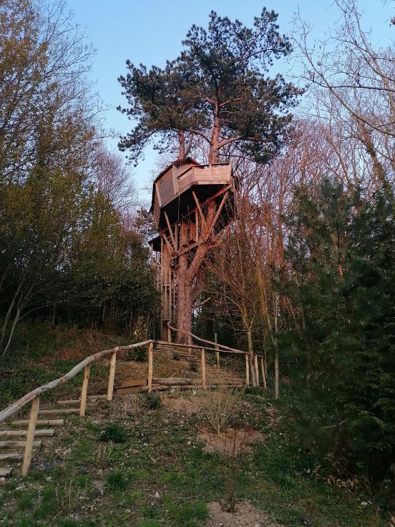 une cabane dans les arbres au milieu d'une forêt dans l'établissement SHERWOOD TREE, à Étretat