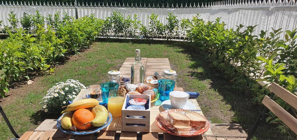 A garden outside Maison Ligea