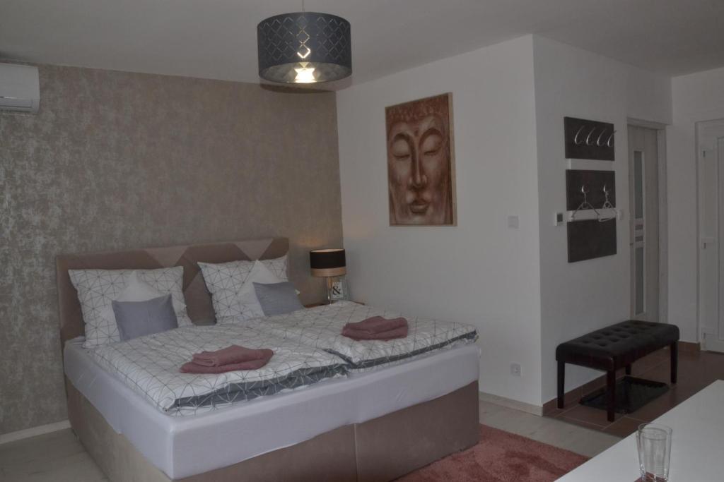 Souvenir Apartmanok 3300 Eger, 17 Rózsa Károly utca 1. emelet kép - 1