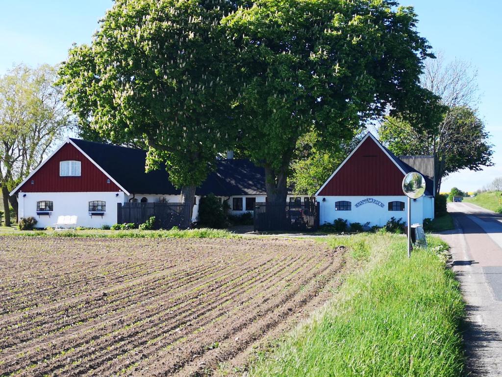 a farm with a field and a house and a tree at Knappagården in Glemminge