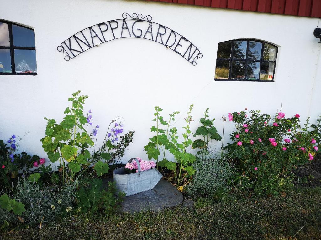 Zahrada ubytování Knappagården