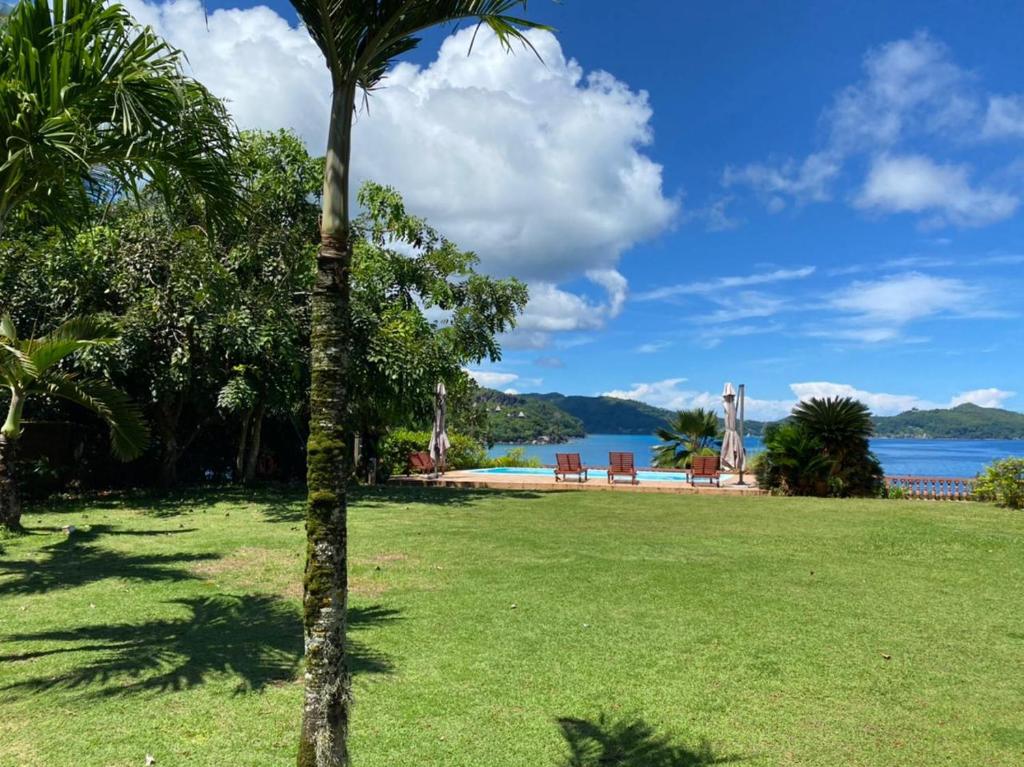 a palm tree in a park with a body of water at Bay View Villa Seychelles in Anse Boileau