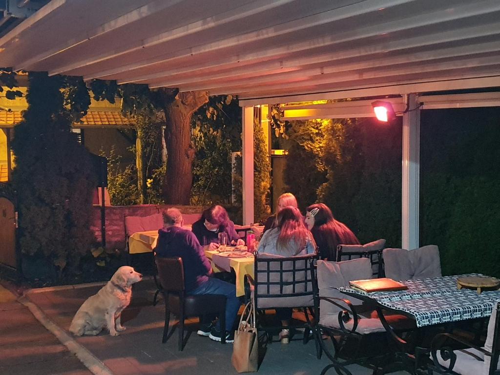 Hosté ubytování Vila Lav Sokobanja