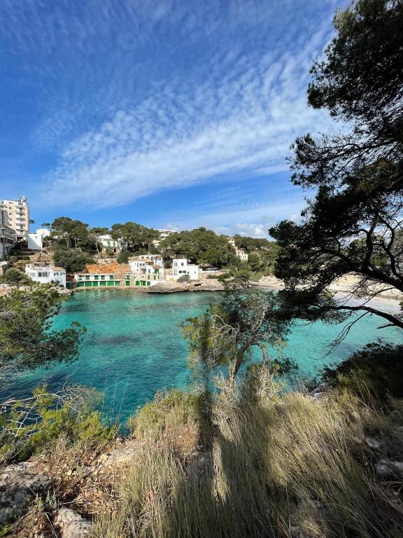 a view of a body of water with trees and houses at Hostal Palmaria in Cala Santanyi