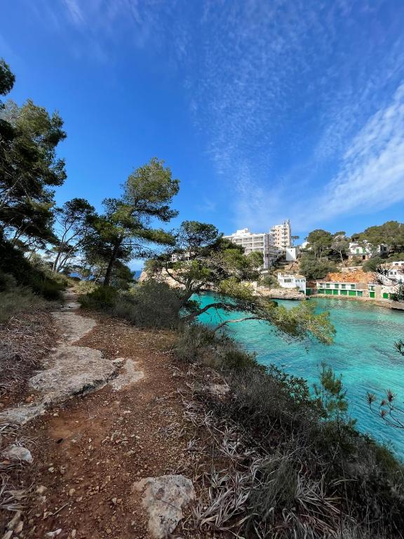 a river with blue water and trees and buildings at Hostal Palmaria in Cala Santanyi